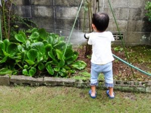 庭の植物に水をあげる男児